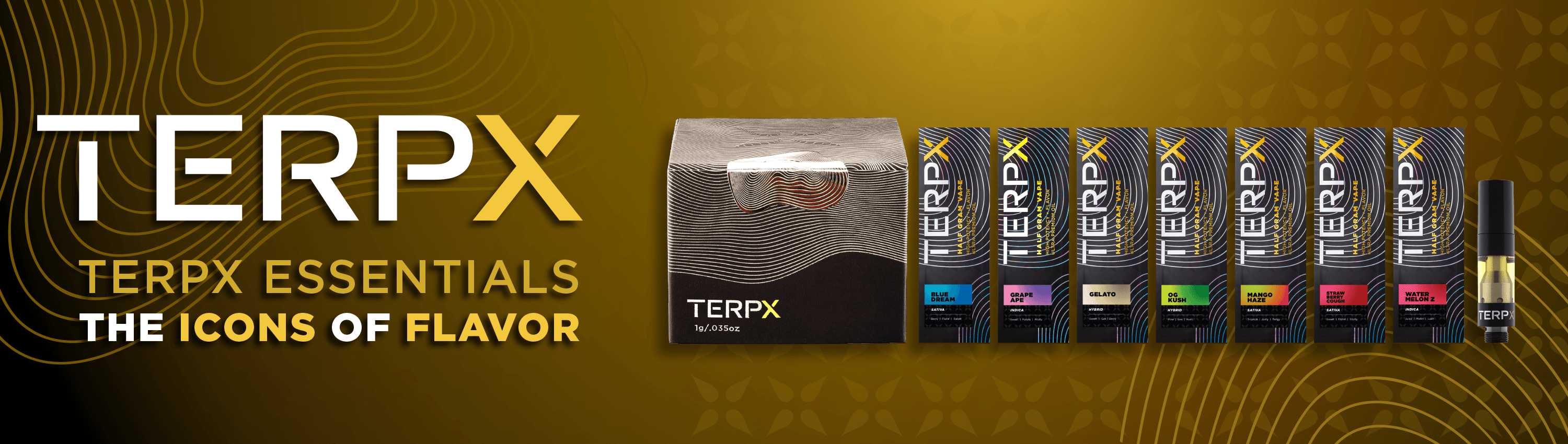 TerpX banner