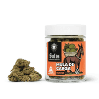 Solis Flower 28g Hybrid Mula De Carga