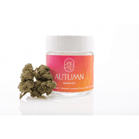 Autumn Brands Flower 3.5g Hybrid Carbon Fiber