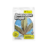 Awesome Dope Flower 3.5g Sativa Hybrid Gelato 41 x Thin Mint GSC