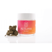 Autumn Brands Flower 3.5g Hybrid Fire OG
