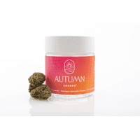 Autumn Brands Flower 3.5g Hybrid Wedding Cake