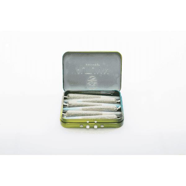 Autumn Brands Preroll 6pk Sativa Sour Cherry Tree